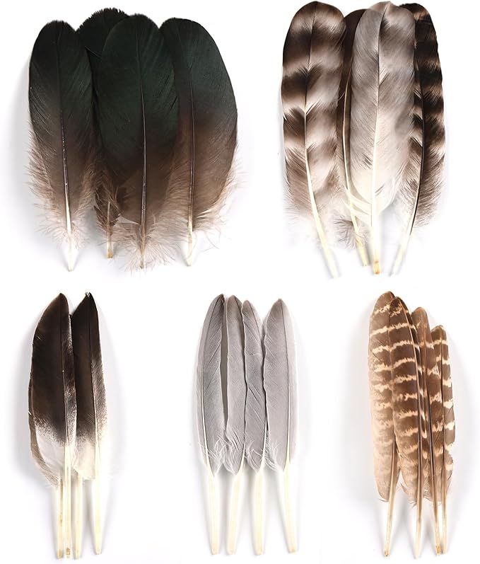 MAOFENG 20pcs Natural Pheasant Feathers 5 Styles 5-9 inches 13-23cm - Image 2