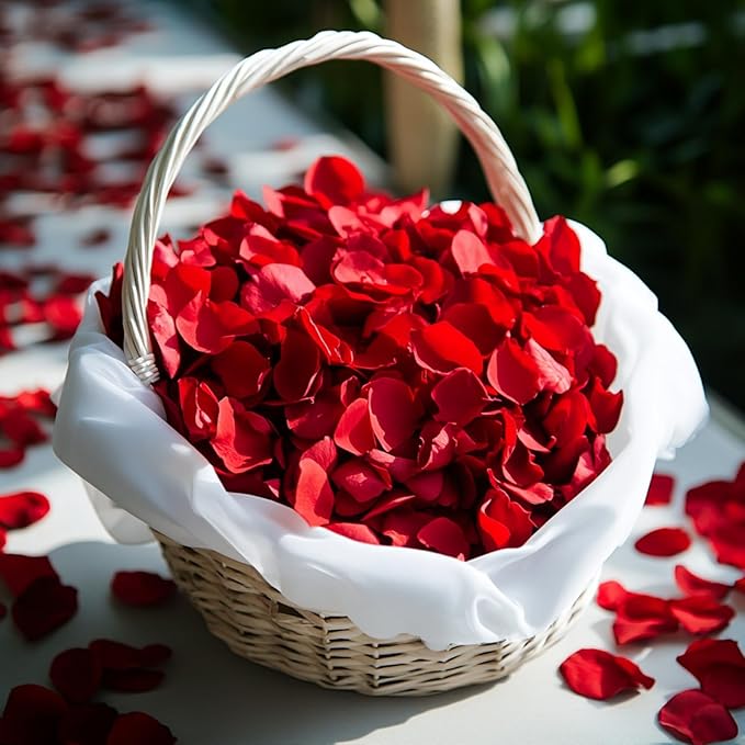 300 PCS Dried Real Red Rose Flower Petals Confetti by Eslibin