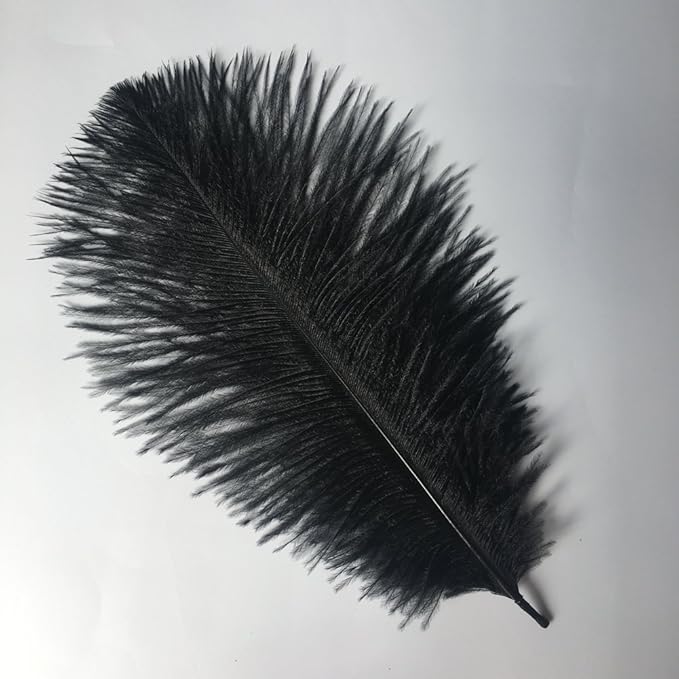 Sowder 8-10inch Ostrich Feathers Plume - Image 3