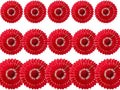 15pcs 6'' 8'' 10'' Red Paper Fans Decorations Round Tissue Paper Fans Hanging by Meeom