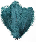 KOLIGHT 40pcs 12''~14'' Natural Ostrich Feathers by KOLIGHT