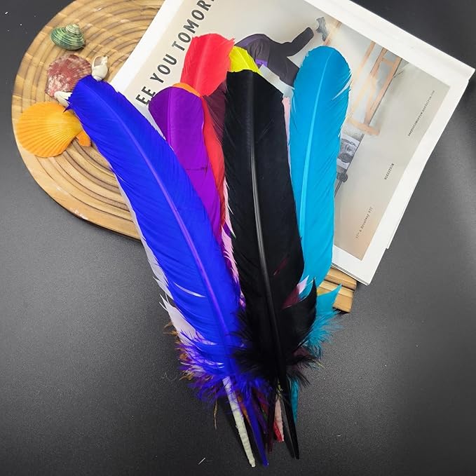 Colorful Turkey Feathers, Turkish Feather - Image 5