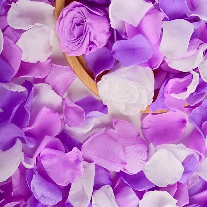 180 PCS Real Purple White Rose Petals by Eslibin