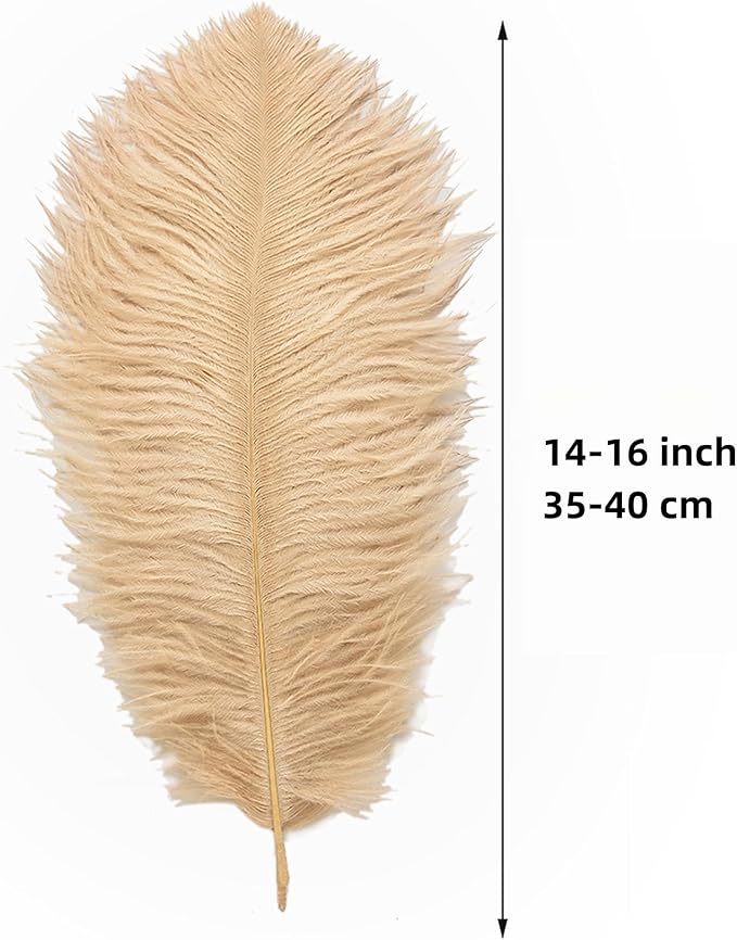 Ballinger Champagne Large Ostrich Feathers - Image 3