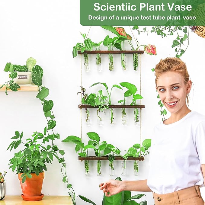 Ivolador Hanging Plant Propagation Tubes, 3 Tiered Wall Hanging Terrarium - Image 4