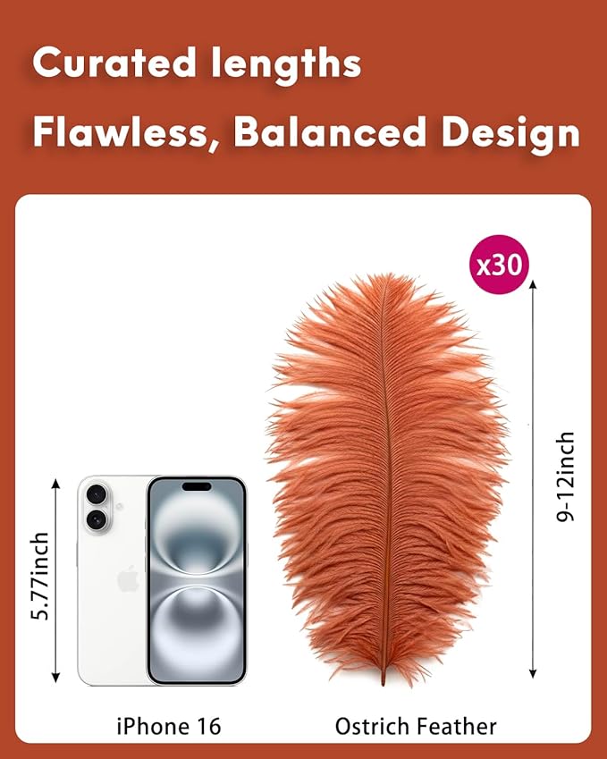 NEWONG 30pcs Brown Ostrich Feathers Natural Bulk 9-12in（23-30cm） Vase Craft - Image 2