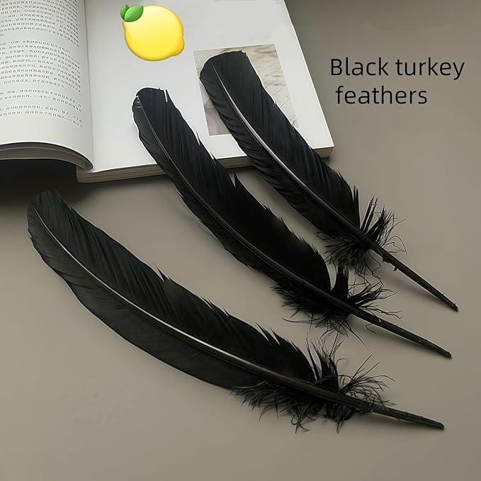 Black Turkey Feathers, Turkish Feather - Image 3