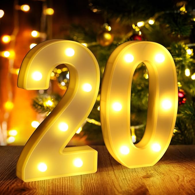20th Birthday Decorations for Women Men, Happy 20 Year Old Birthday Decorations by funsky