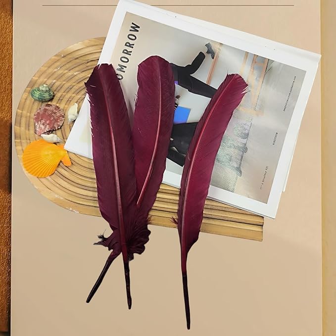 Burgundy Turkey Feathers, Turkish Feather - Image 3