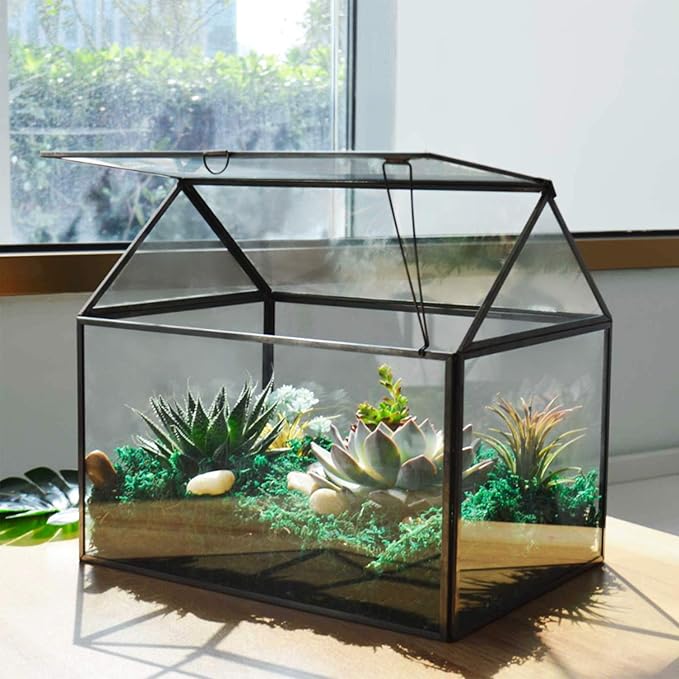 Black 1 Large Glass Plant Terrarium Kit by Yimorence