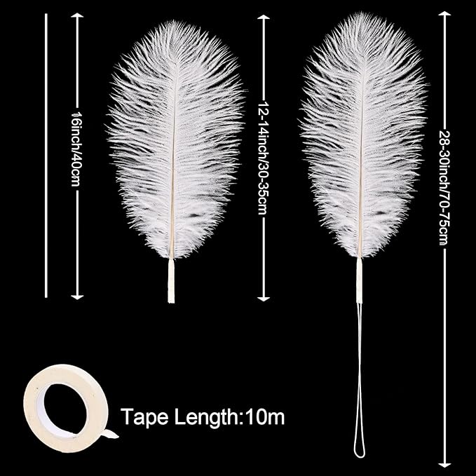 Bulk White Ostrich Feathers - Image 3