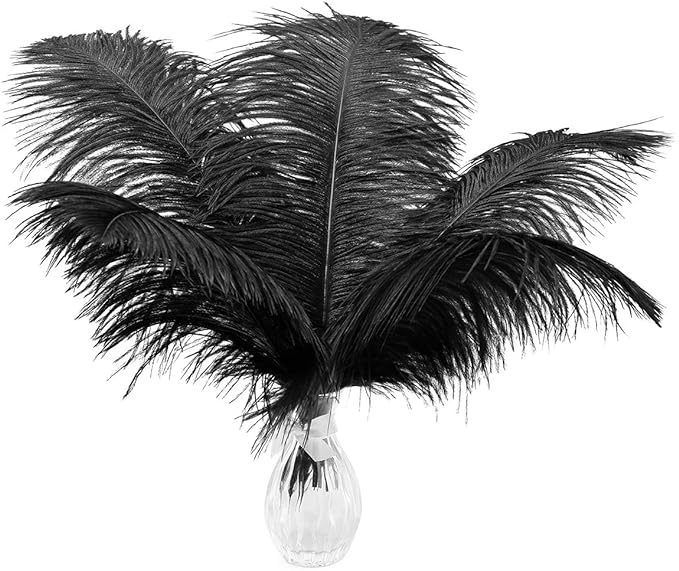 Ballinger Black Large Ostrich Feathers by Ballinger