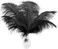 Ballinger Black Large Ostrich Feathers by Ballinger