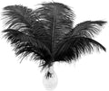 Ballinger Black Ostrich Feathers Bulk by Ballinger