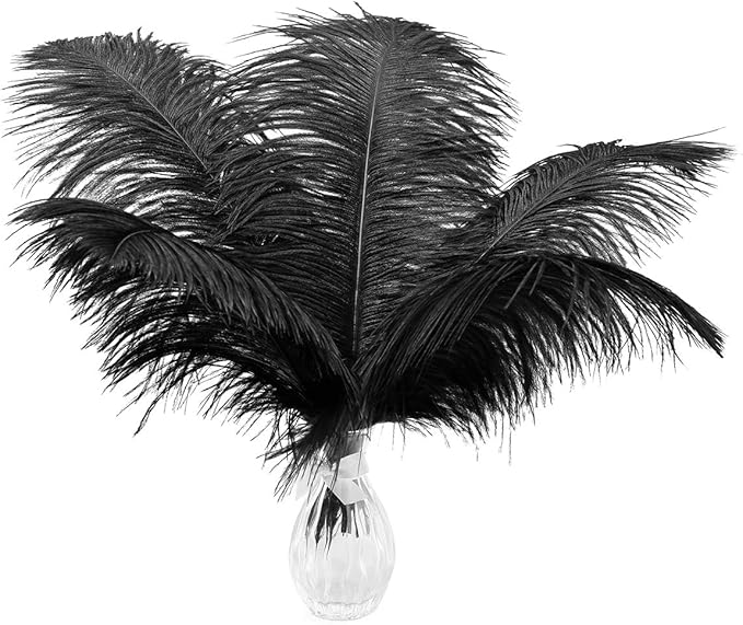 24pcs Natural Black Ostrich Feathers 10-12inch by Ballinger
