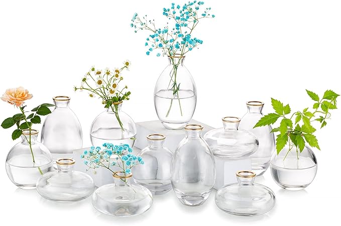 Glass Bud Vase for Centerpieces: 12Pcs Glasseam Gold Rim Mini Small Vases for by Glasseam