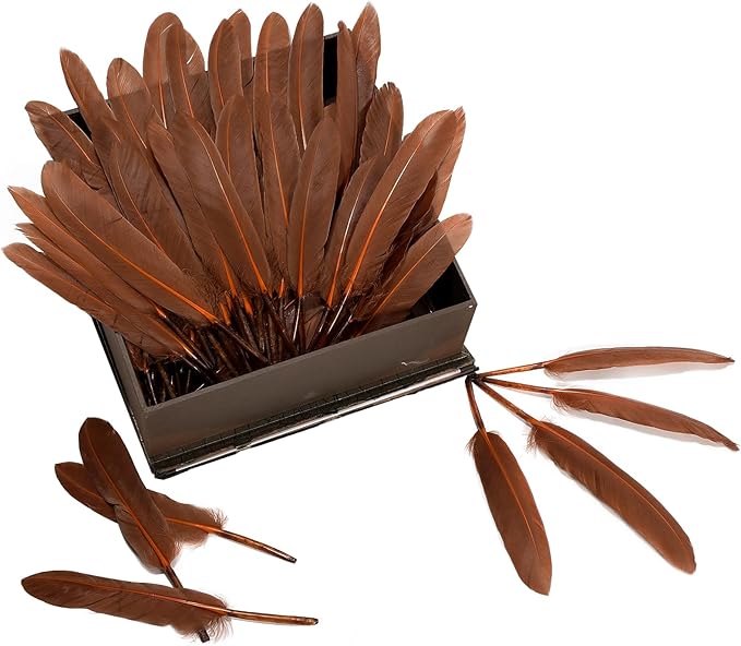 FeelfunFeather 120pcs Coffee Brown Goose Cochettes Feather Natural Bulk 4-6 - Image 4