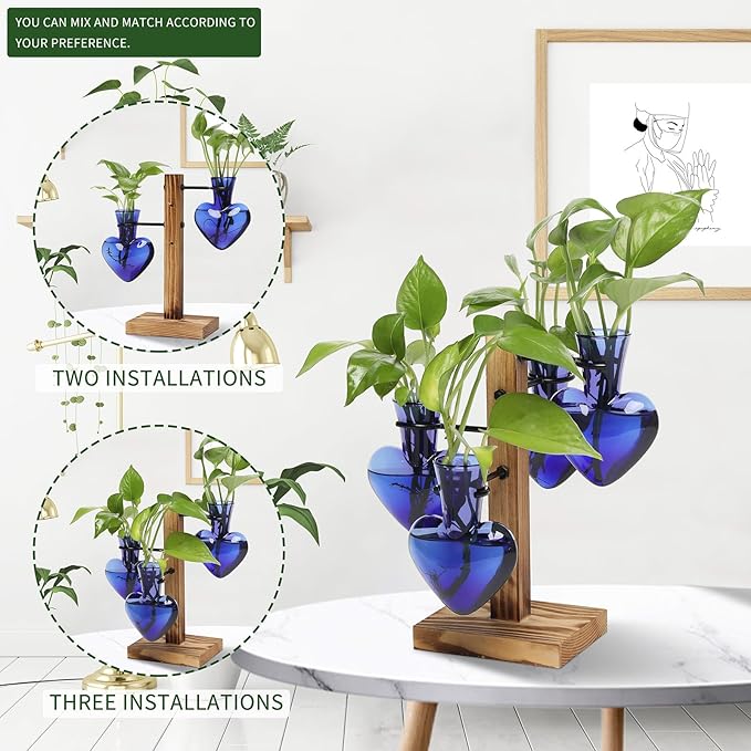 Plants Propagation Stations Plant Terrarium Kit Glass Planters - Image 5