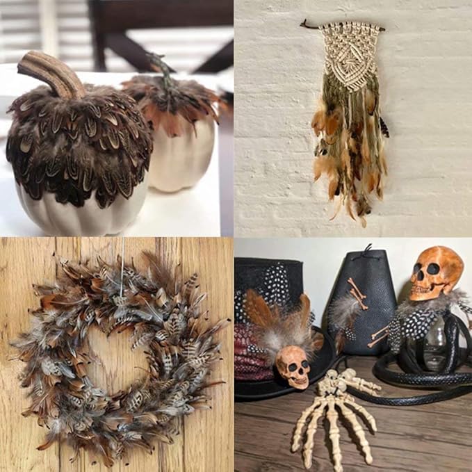 360pcs 12 Styled Natural Feathers Assorted Mixed Feathers - Image 6