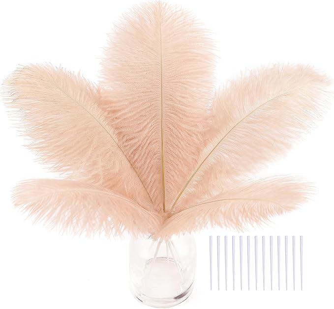 SOGUGOM Light Salmon Ostrich Feathers by SOGUGOM