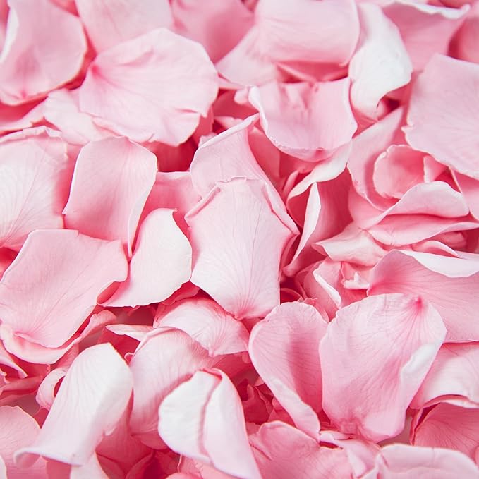 180 PCS Real Pink Dried Rose Petals Confetti by Eslibin