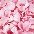 180 PCS Real Pink Dried Rose Petals Confetti by Eslibin