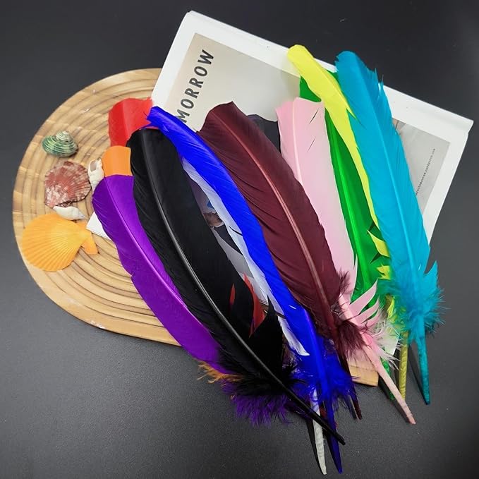 Colorful Turkey Feathers, Turkish Feather - Image 4