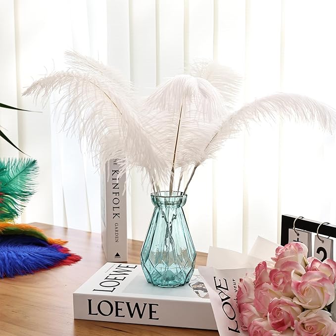 Bulk White Ostrich Feathers - Image 7