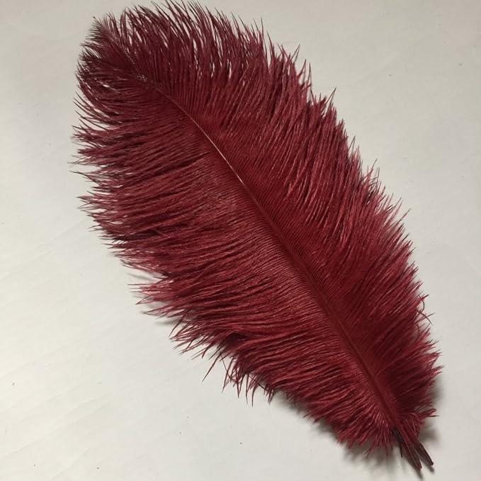 KOLIGHT 40pcs 12''~14'' Natural Ostrich Feathers - Image 2