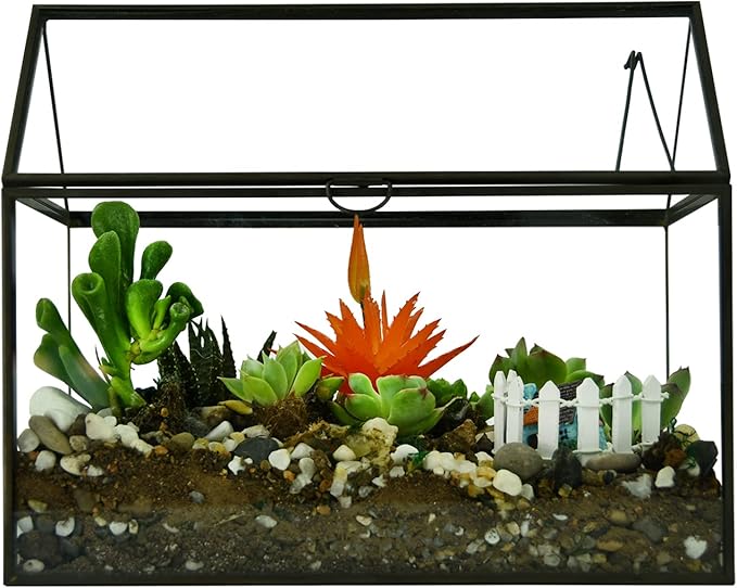 Black 1 Large Glass Plant Terrarium Kit - Image 5