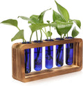 Glass Plant Propagation Station by Unknown
