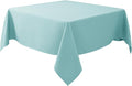 Biscaynebay Square Tablecloth 54x54 Inch-Auqa Blue Card Fabric Table by Biscaynebay