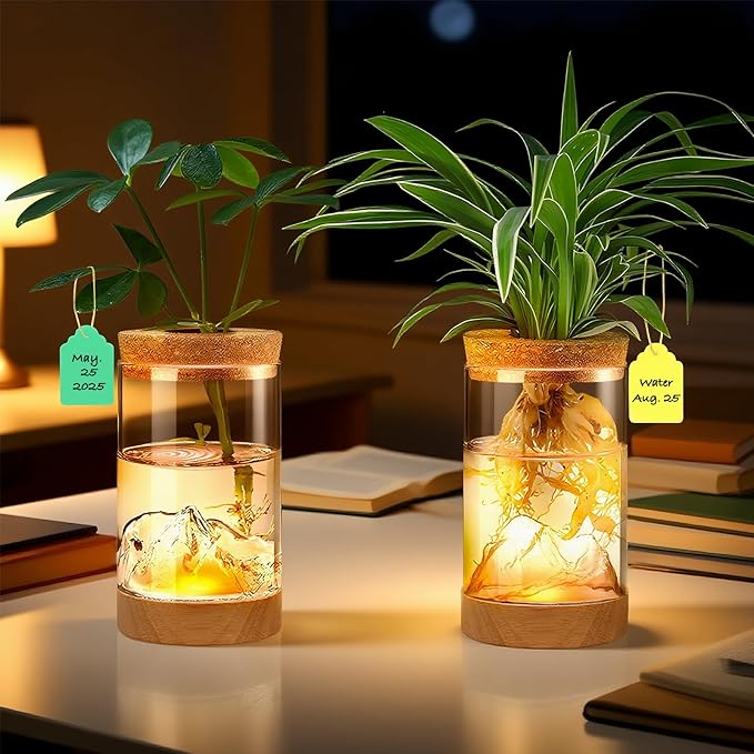2Pcs Plant Propagation Station - Image 2