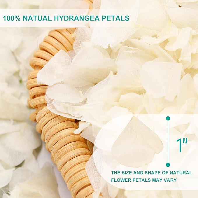 Dried Real Hydrangea Petals, Natural Preserved Dry Flower Petal - Image 4
