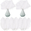Crowye 100 Pcs Ostrich Feathers Bulk by Crowye
