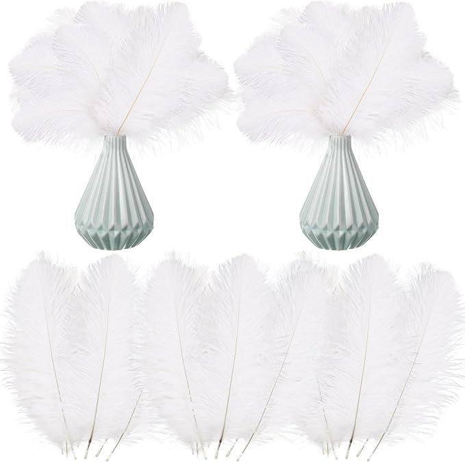 Crowye 100 Pcs Ostrich Feathers Bulk by Crowye