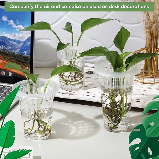 Baderke 35 Pack Plastic Plant Propagation Station Desktop Terrariums Plant - Image 5