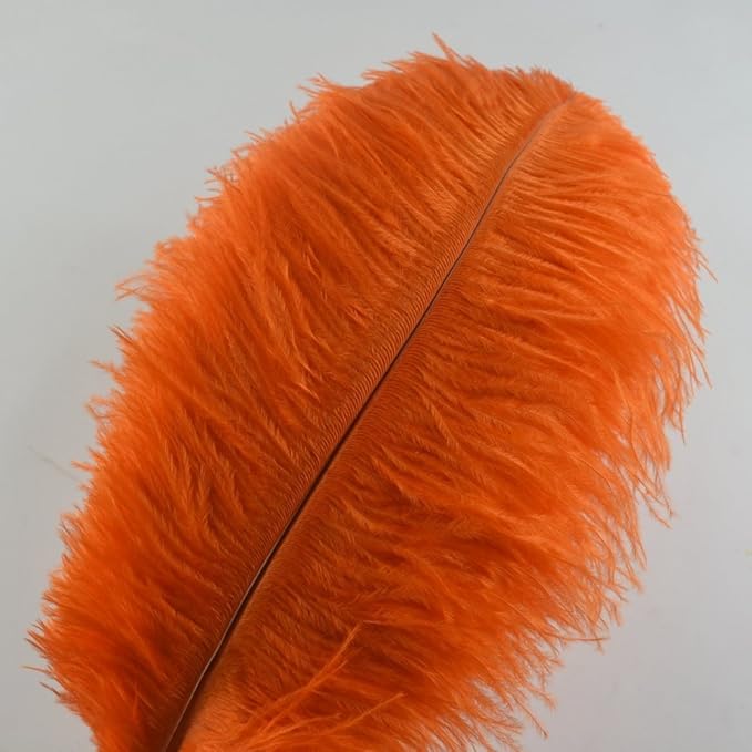 KOLIGHT® 40pcs 12''~14'' Natural Ostrich Feathers - Image 2