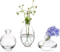 Glasseam Clear Glass Bud Vase by Glasseam