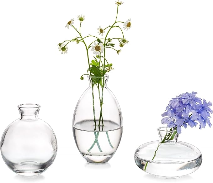 Glasseam Clear Glass Bud Vase by Glasseam