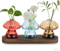 Glass Propagation Station for Plant: Mushroom Planter by Hewory