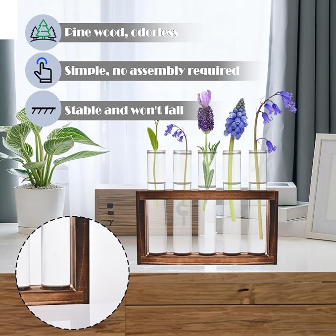 Desktop Glass Plant Propagation Station - Image 5
