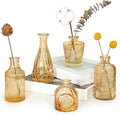 Glass Bud Vase Set of 5, Mini Vintage Vase by SUPMIND