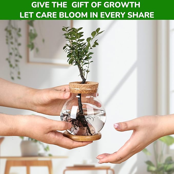 Propagation Station, Larger Capacity Ball Vase - Image 4