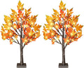 24 Inch Fall Lighted Maple Tree, 2FT Fall Tree by TiYiViRi