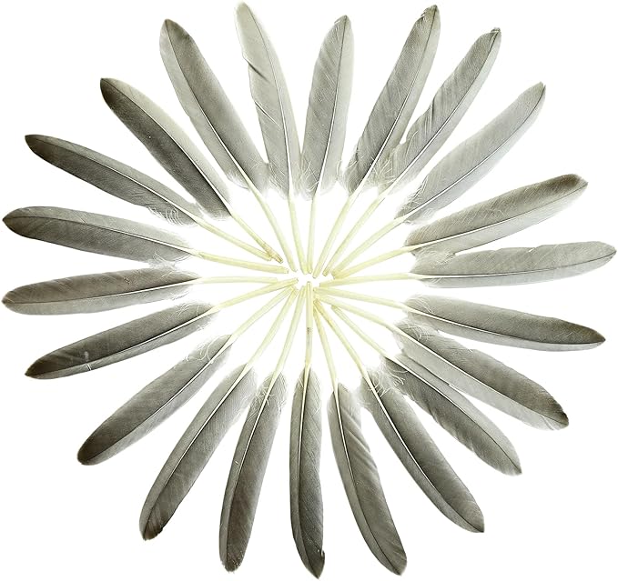 FeelfunFeather 120pcs Natural Gray Goose Cochettes Feathers Bulk 4-6 inches - Image 3