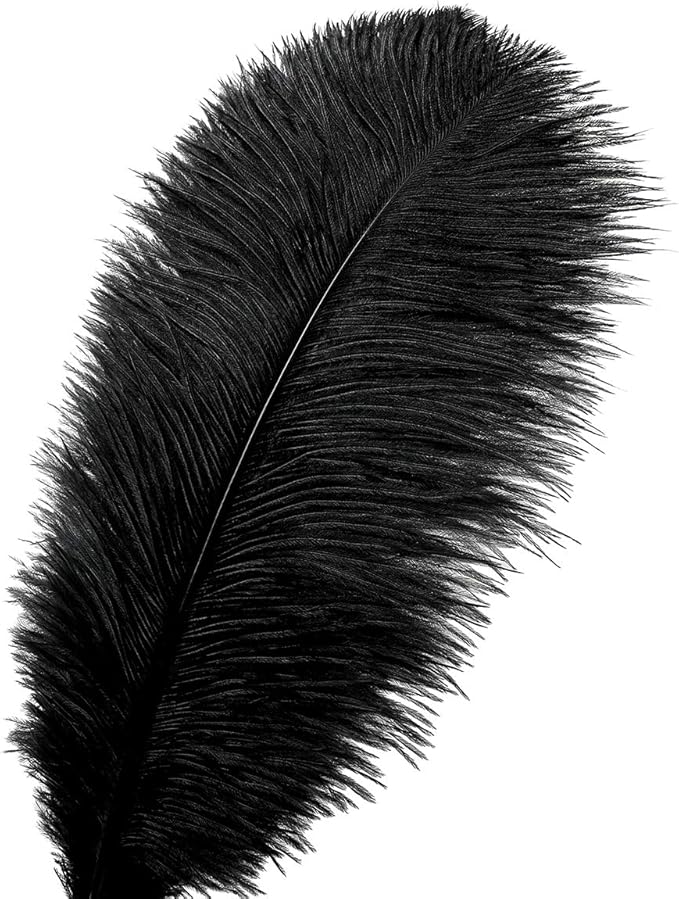 24pcs Natural Black Ostrich Feathers 10-12inch - Image 2