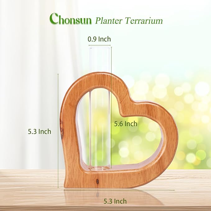 Plant Propagation Stations Plant Terrariums Wall Hanging Planters Plants Stand - Image 3
