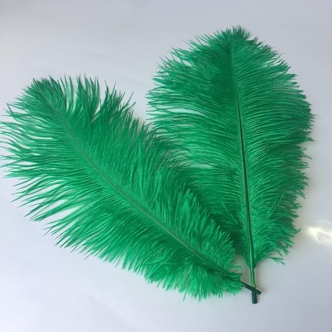 Sowder 14-16inch Ostrich Feathers Plume - Image 2