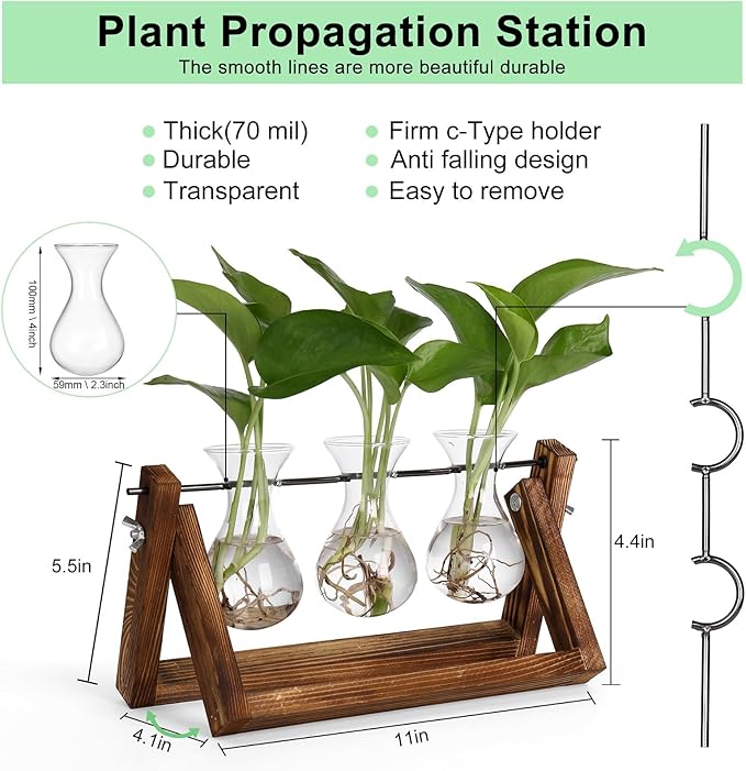 YIBOT Propagation Stations, Plant Terrarium - Image 3